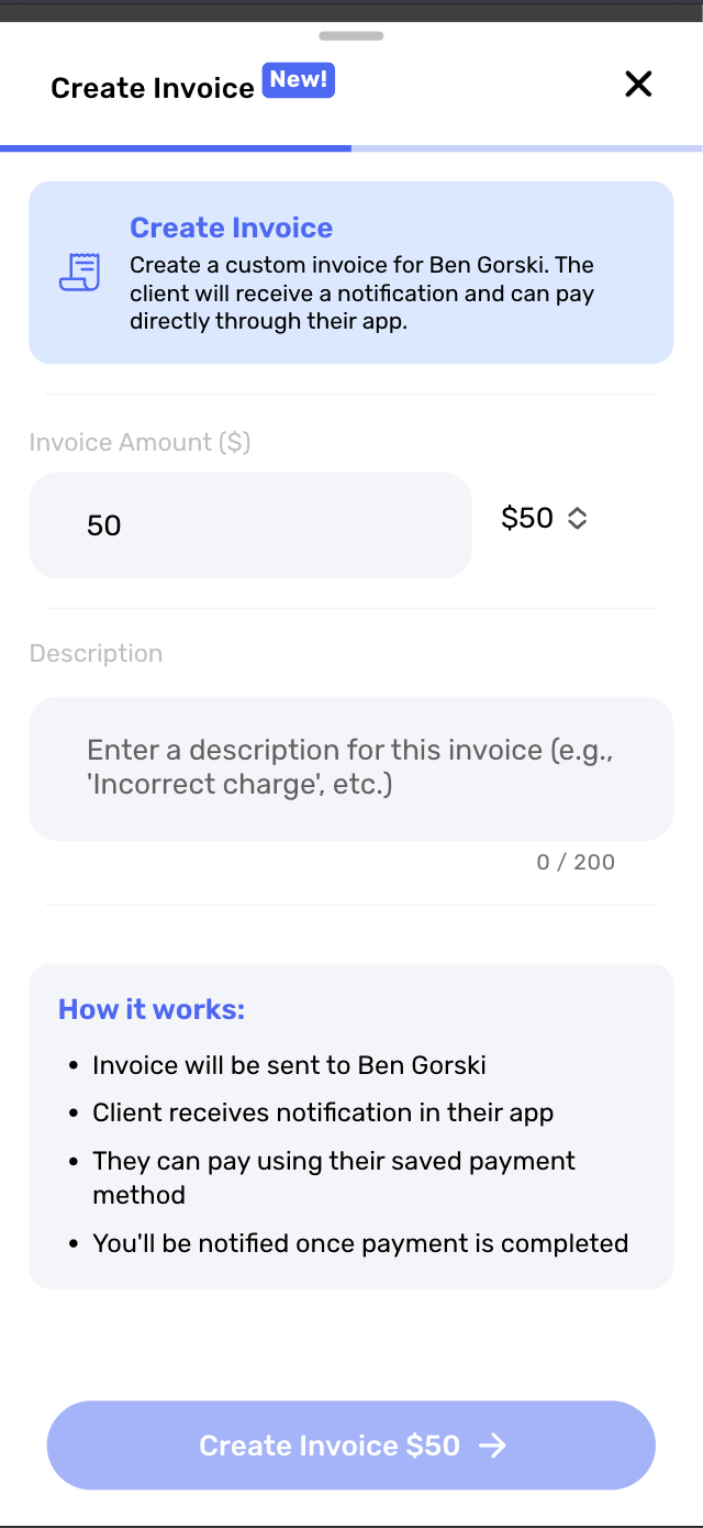 Invoice customization options showing pricing and description fields