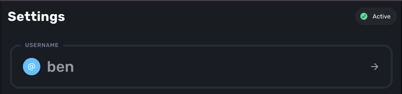 Settings page showing the new USERNAME field with @ben handle