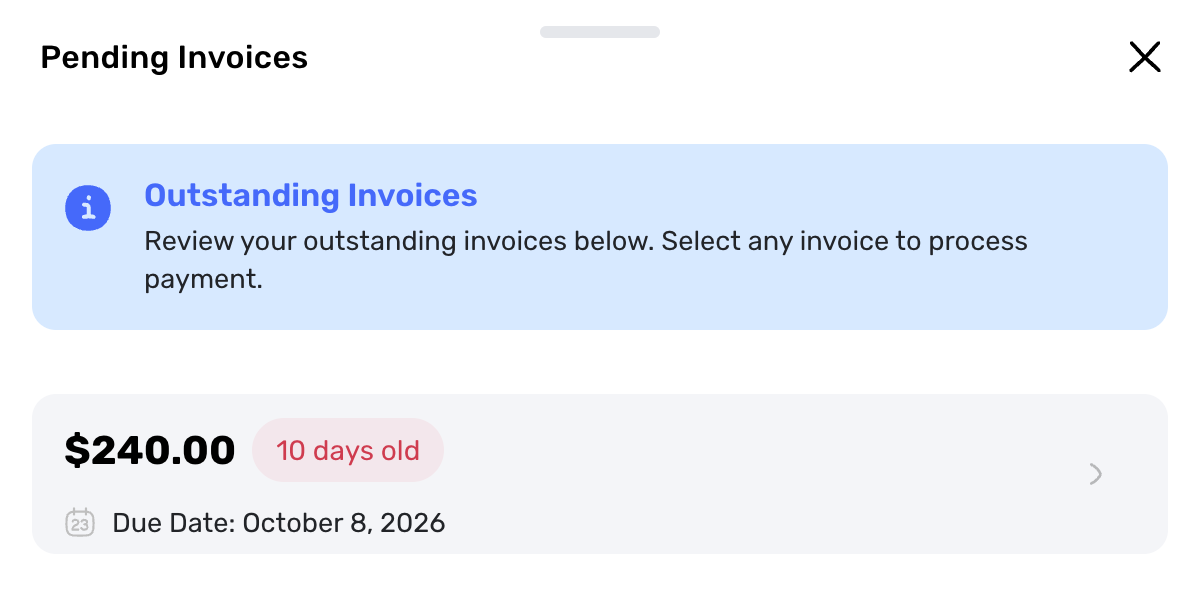 Swum Pending Invoices sheet showing an unpaid plan invoice with its due date